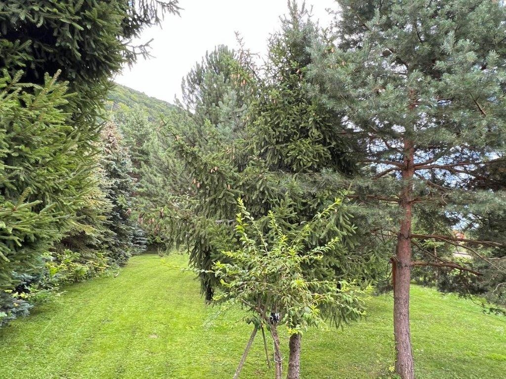 Chata, či rodinný dom, Drienica - 2