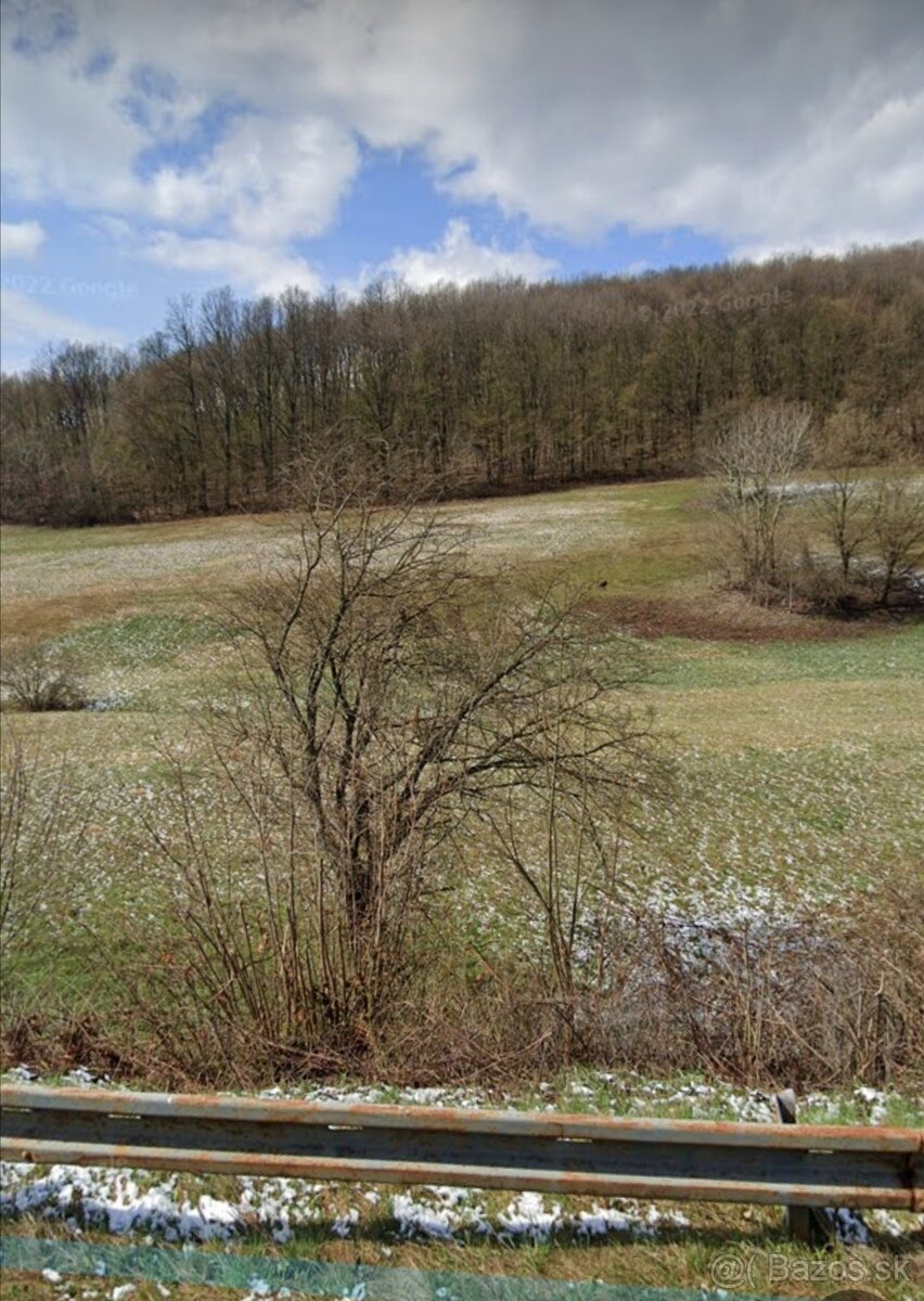Predaj pozemok 4500 m2 Hrušov - 2