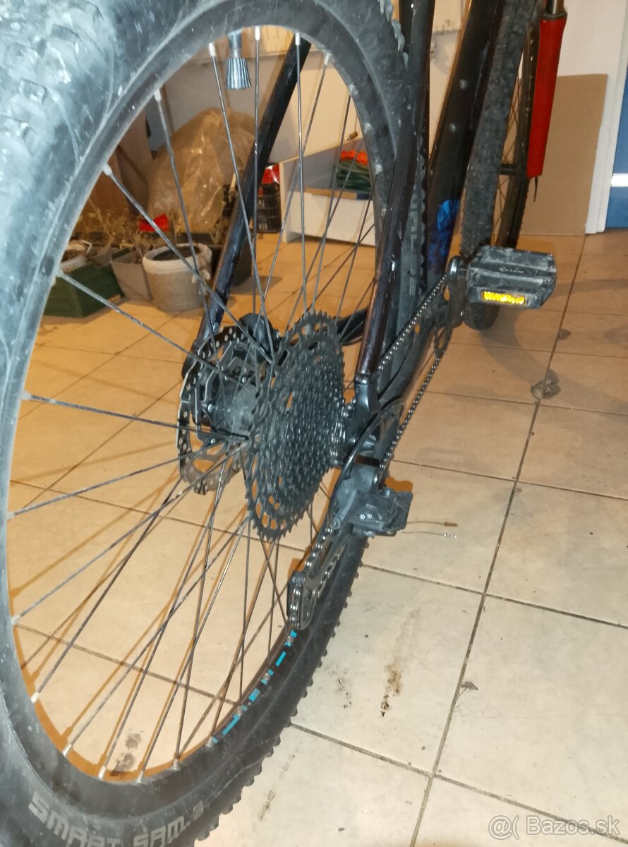 petersancez119@gmail.com - 2