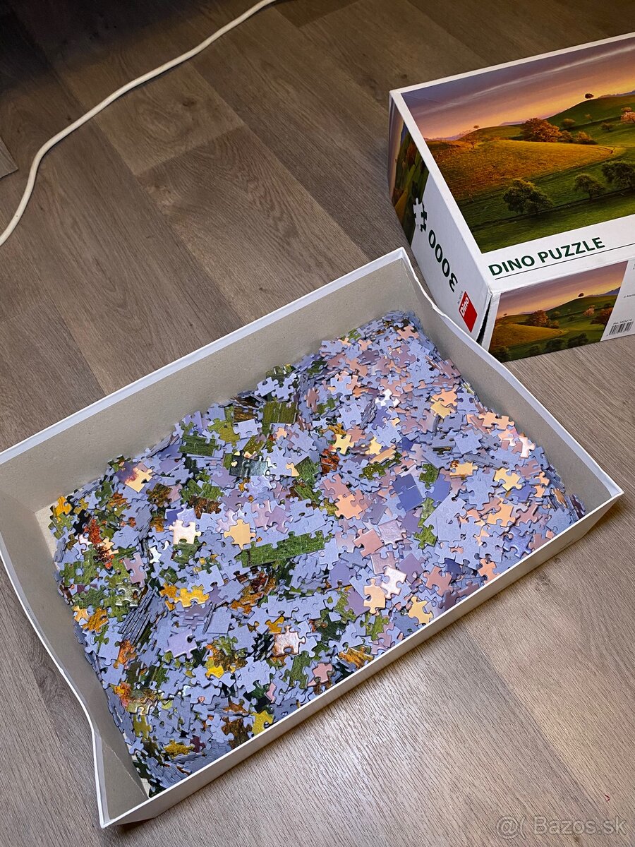 Puzzle DINO – 3000 dielikov (kompletné) - 2