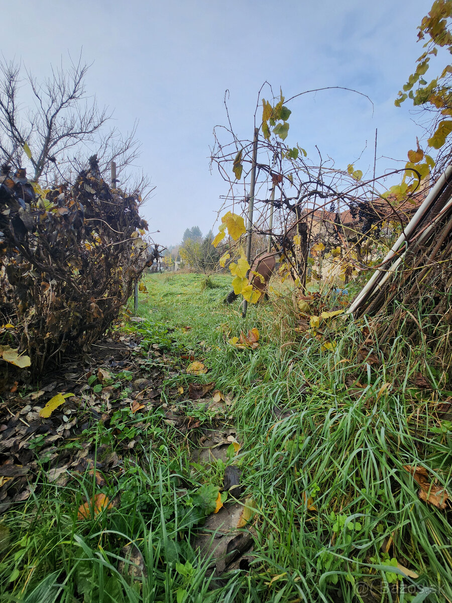 PEKNÝ 7,35á POZEMOK SO STARŠÍM DOMOM NITRA-ČERMÁŇ - 2