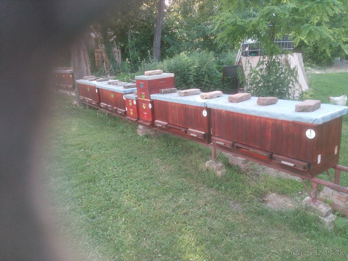 Predám včely - 2