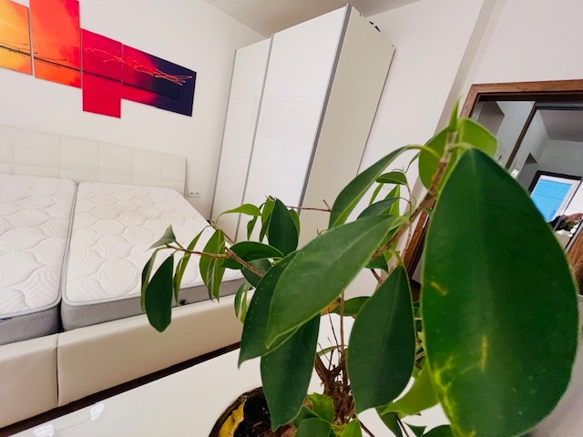 2-izb.byt, 2 parkovacie miesta, internet, energie v cene - 2