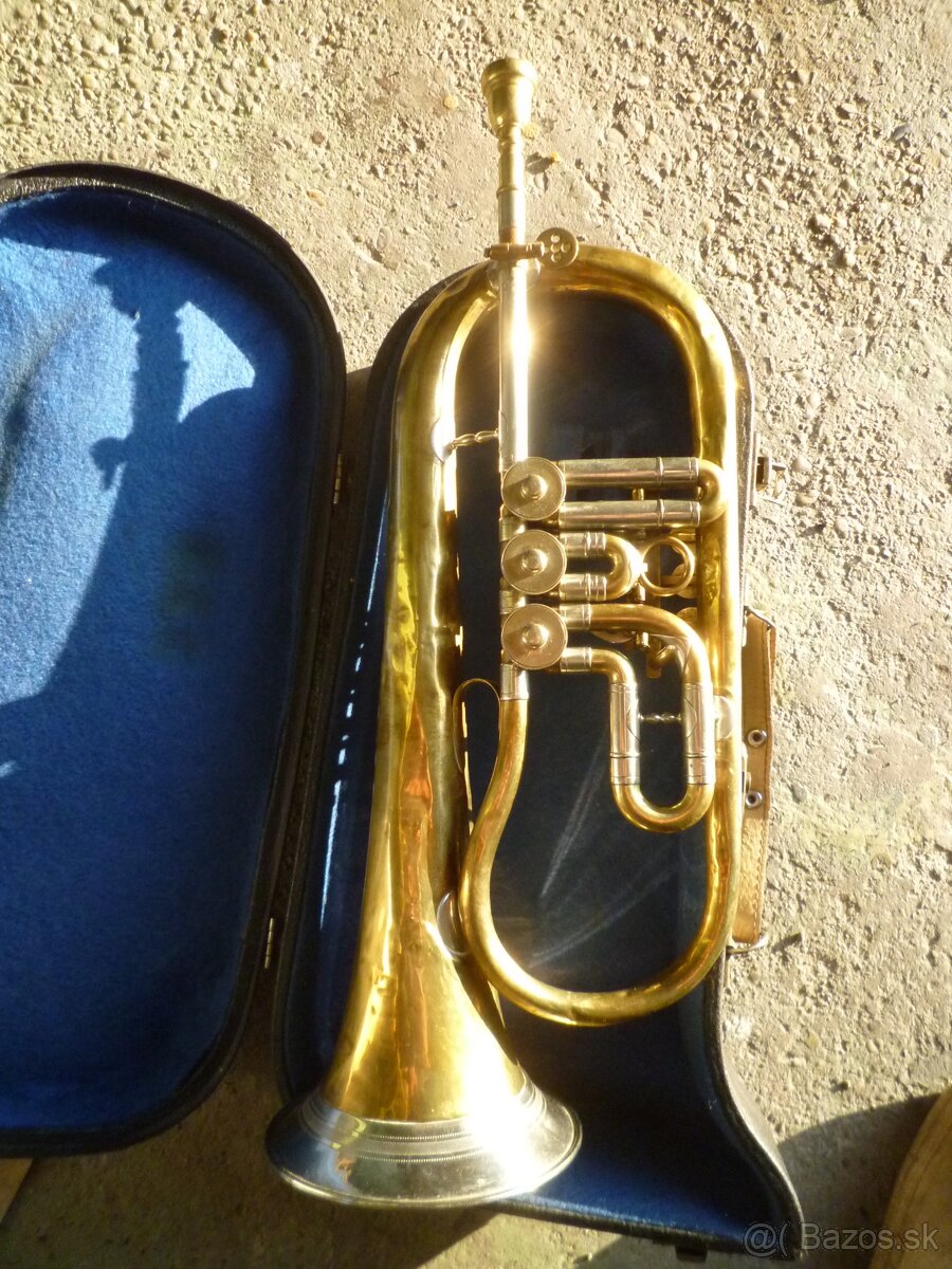 Kridlovka Jozef LIDL - Brno - 2