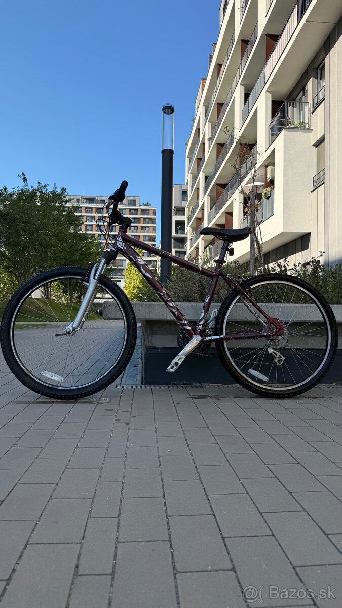 Horsky bicykel specialized - 2