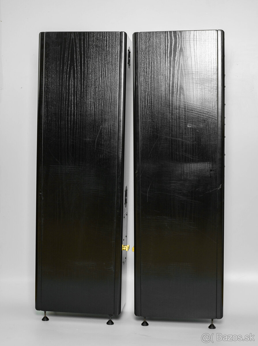 Vienna Acoustics Apis - 2