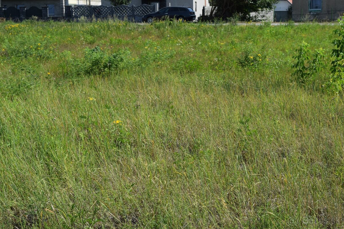 Na predaj pozemok v obci Čaňa - 2