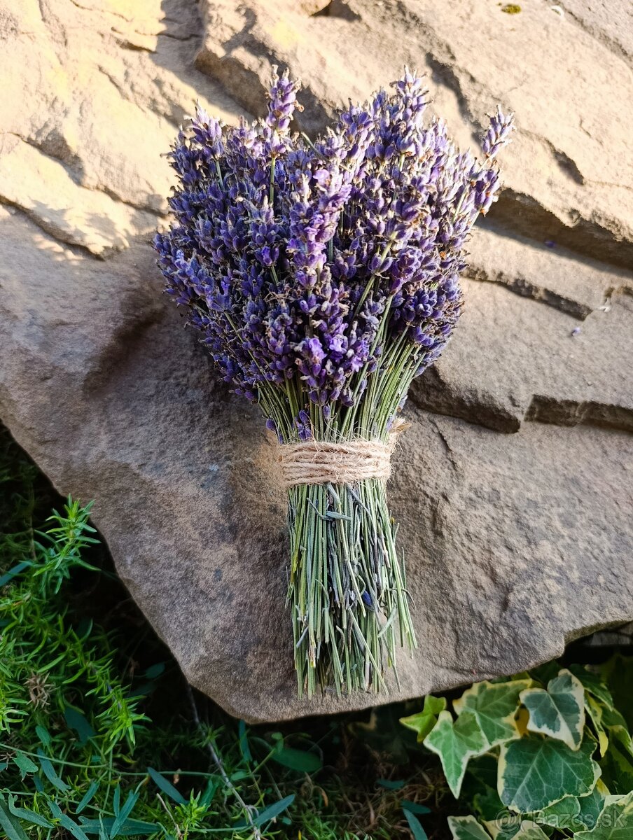 Levanduľa kvety súšene - 2