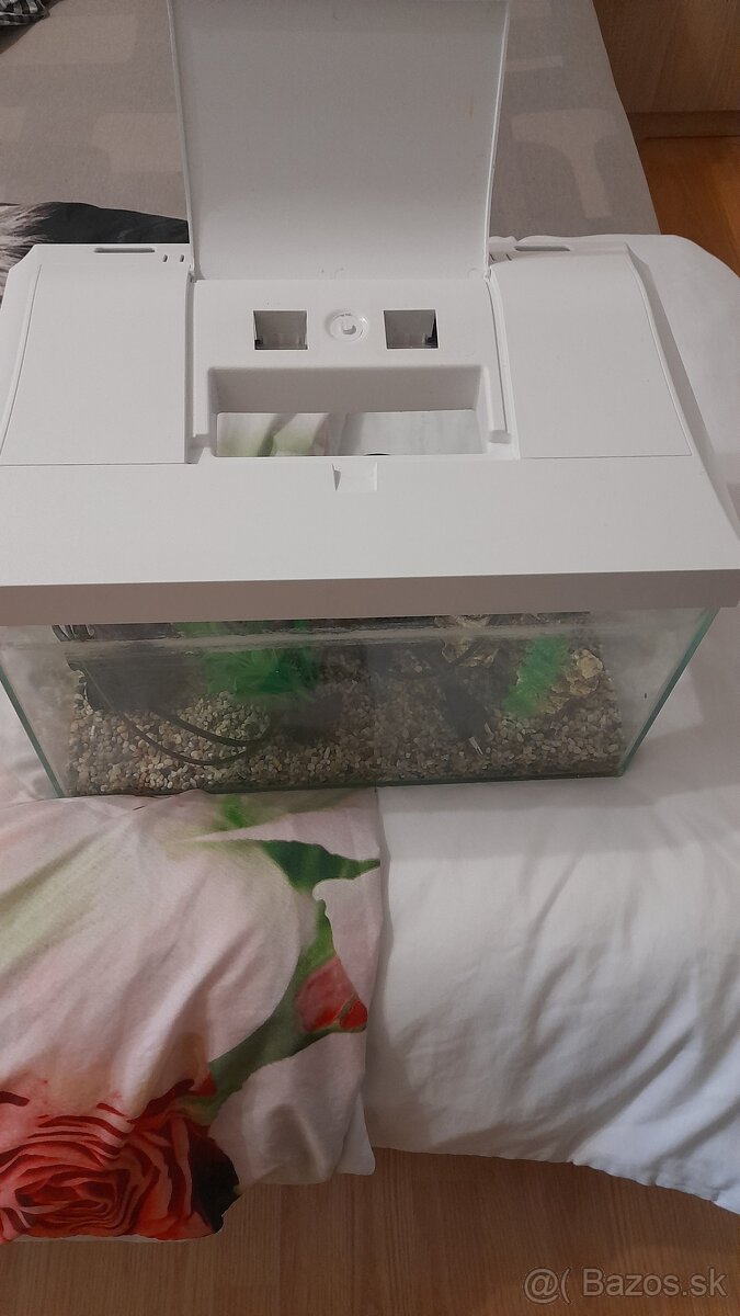 Predám akvarium - 2