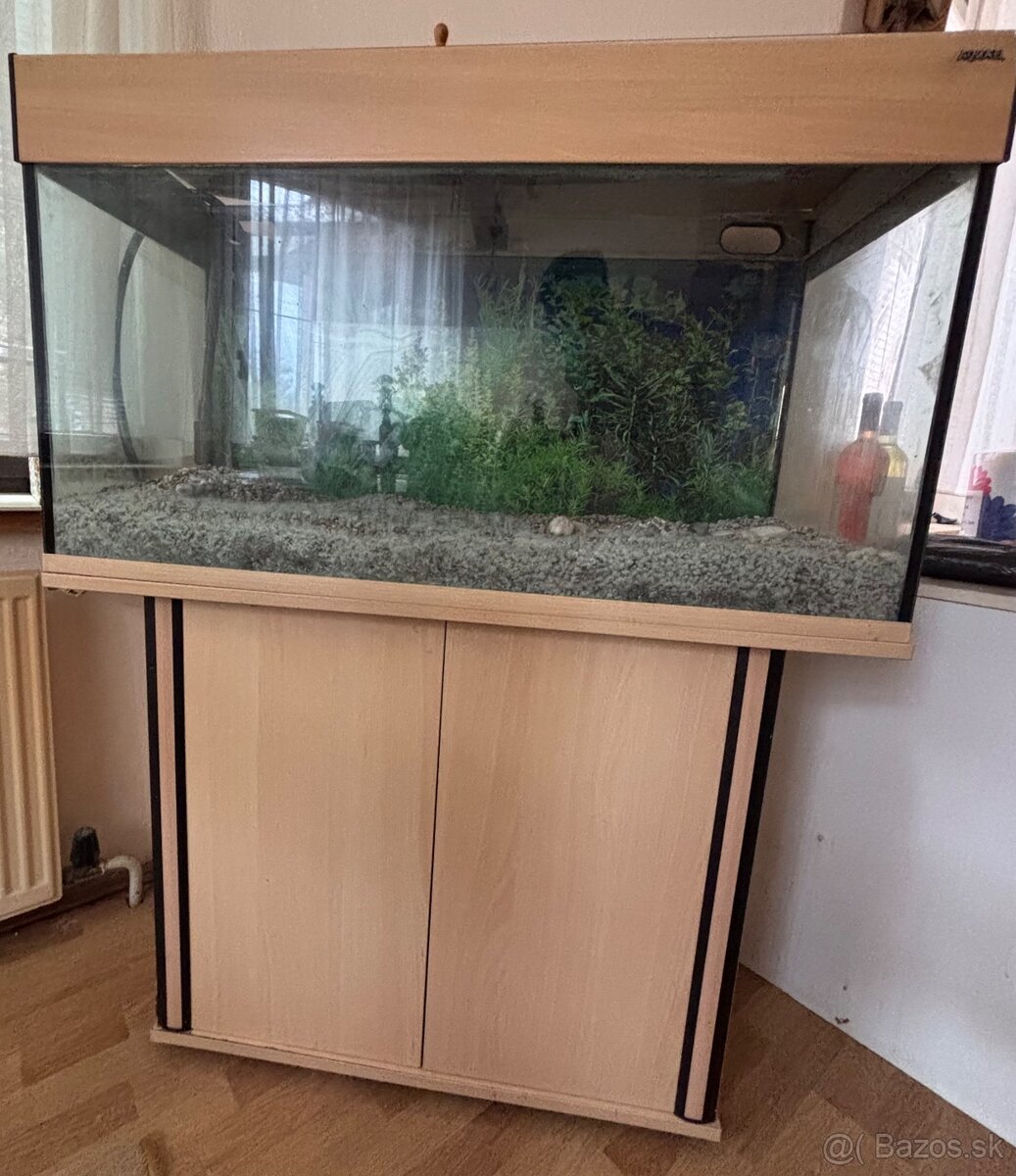 Akvárium - 2