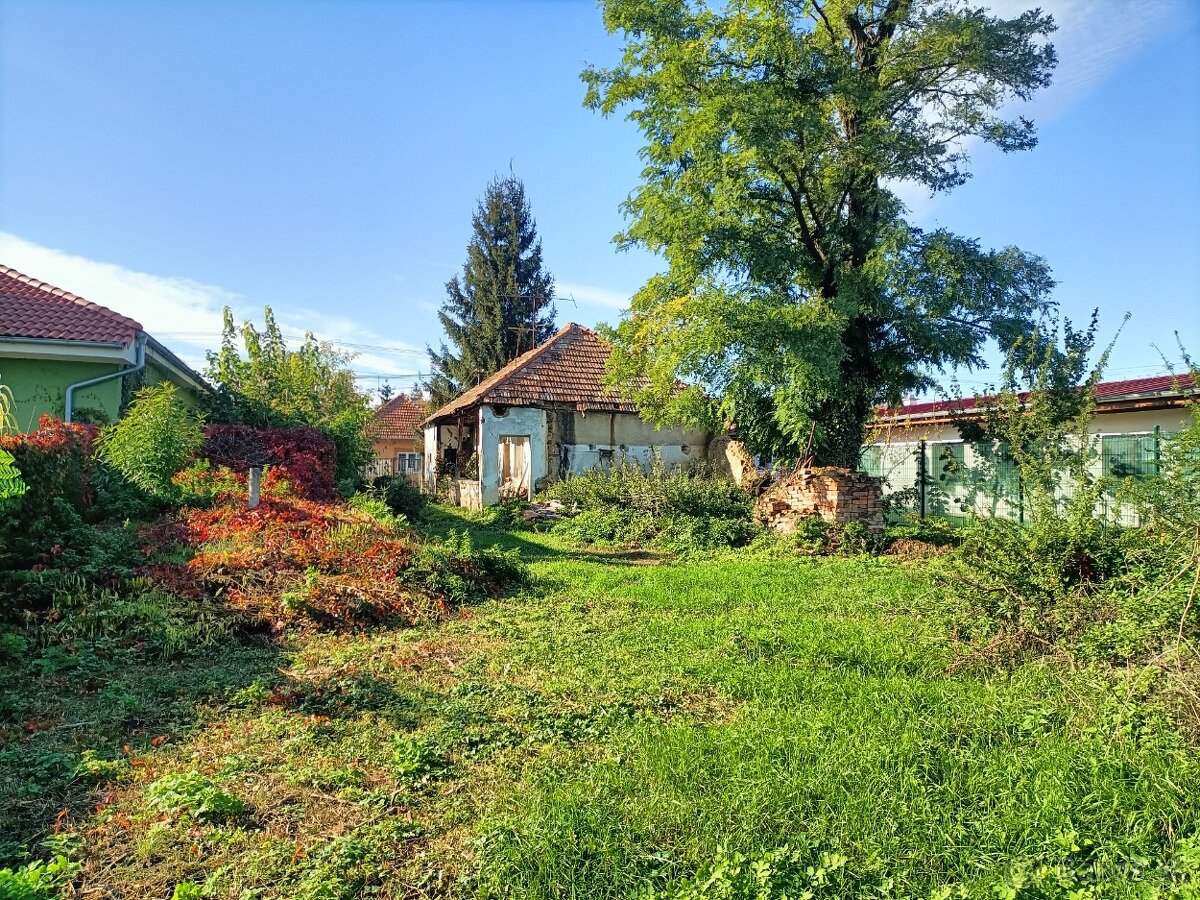 Na predaj starý dom na 19, 7 á pozemku Vráble- zľava - 2