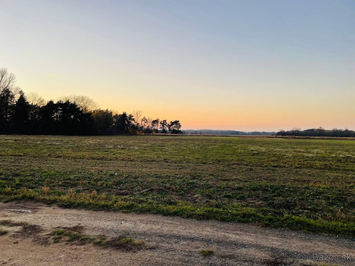 Veľký Pozemok 45 172 m² pri Malých Levároch - 2