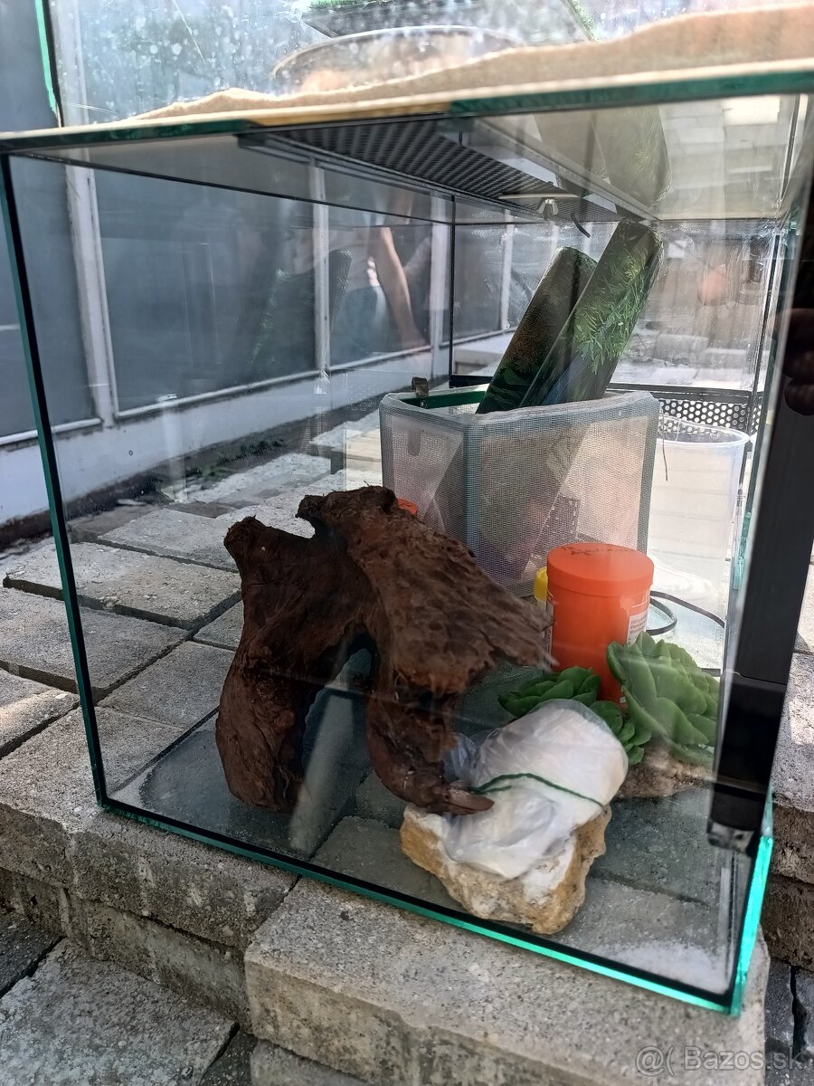 Teráriu 50x30x30 - výborný stav - 2