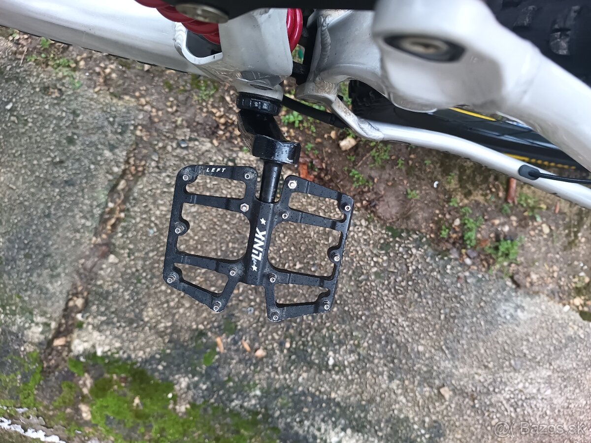 CTM Mons RACE 29" - 2