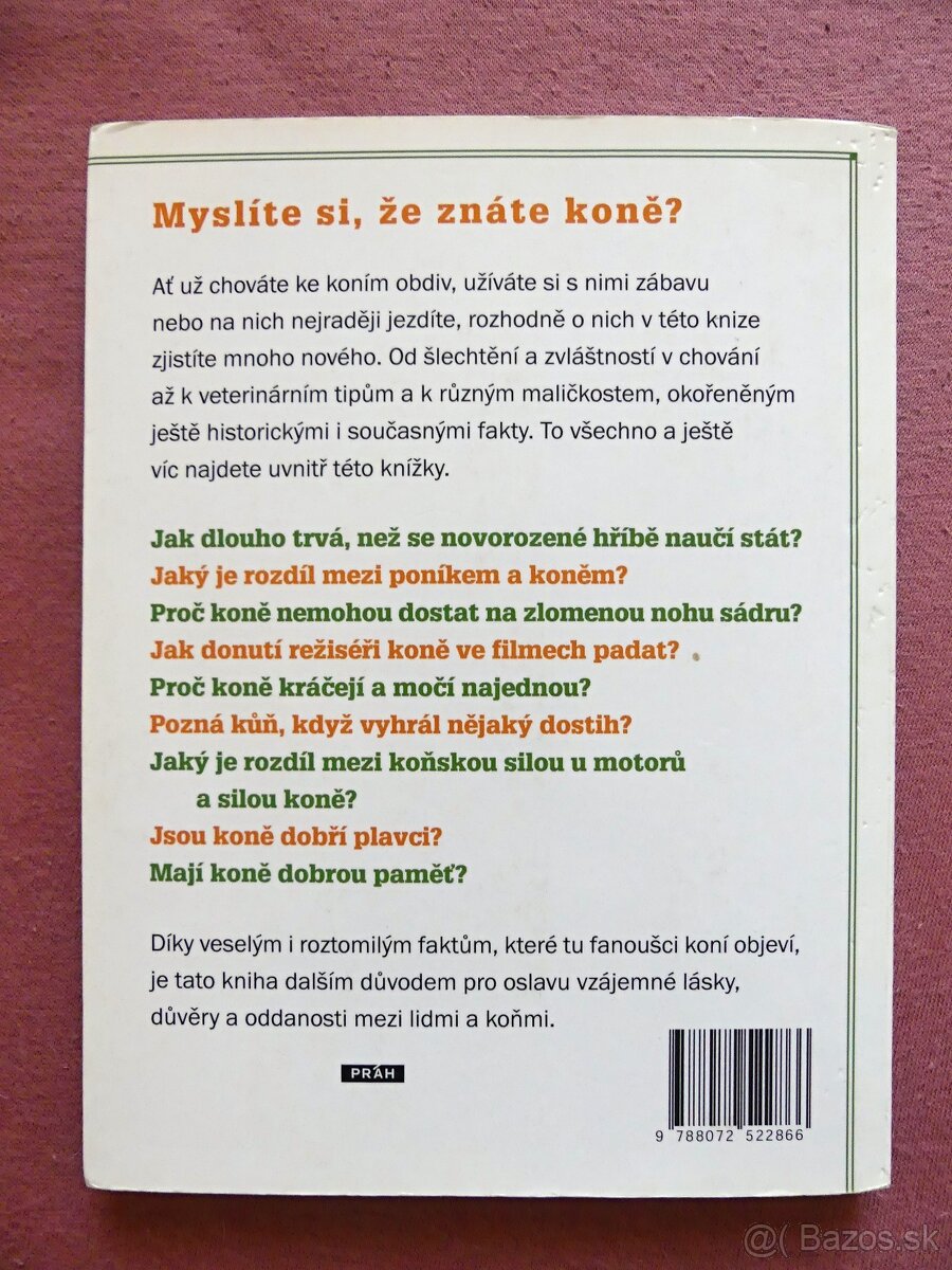 Proč spí koně vestoje? - 2