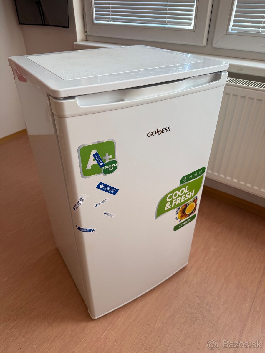 Chladnička Goddess - 2