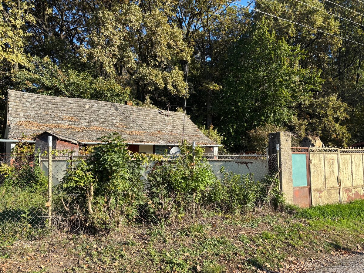 Predám dom pod lesom - 2