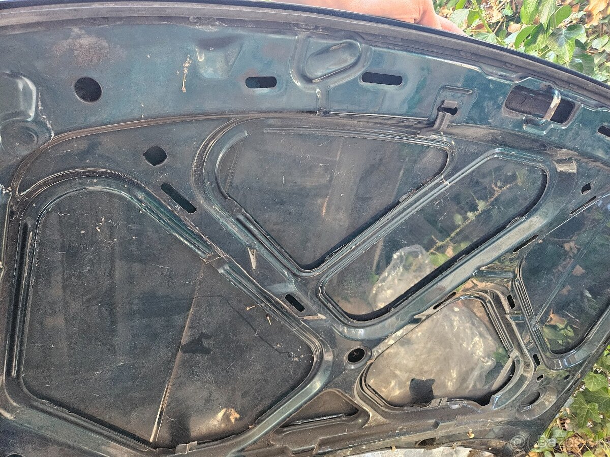 Volkswagen dvere, kapota - 2