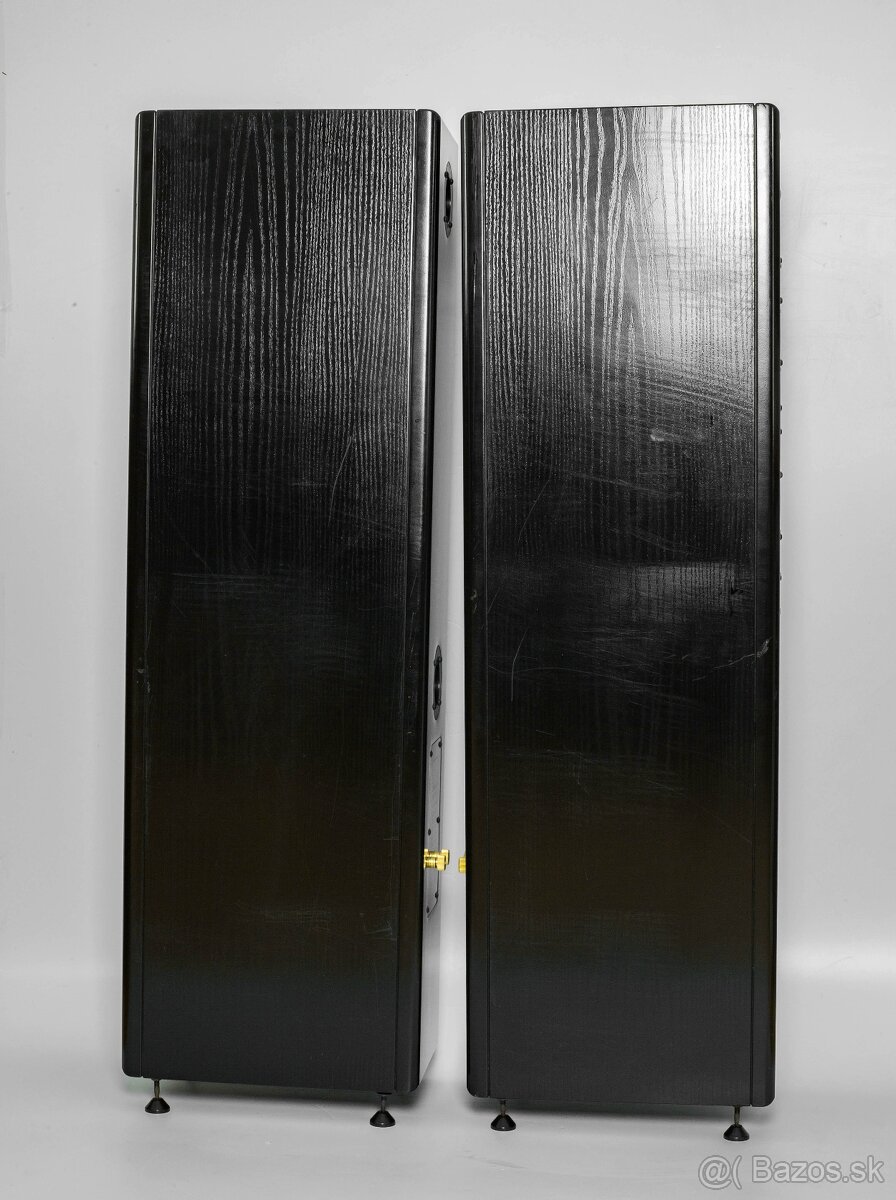 Vienna Acoustics Apis - 2