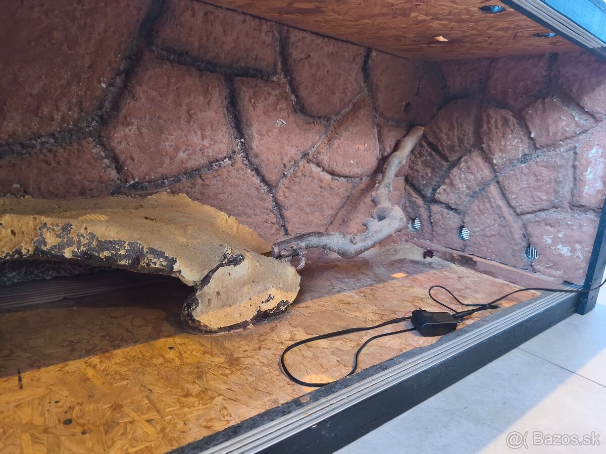 Agamy + terarium + vybava - 2