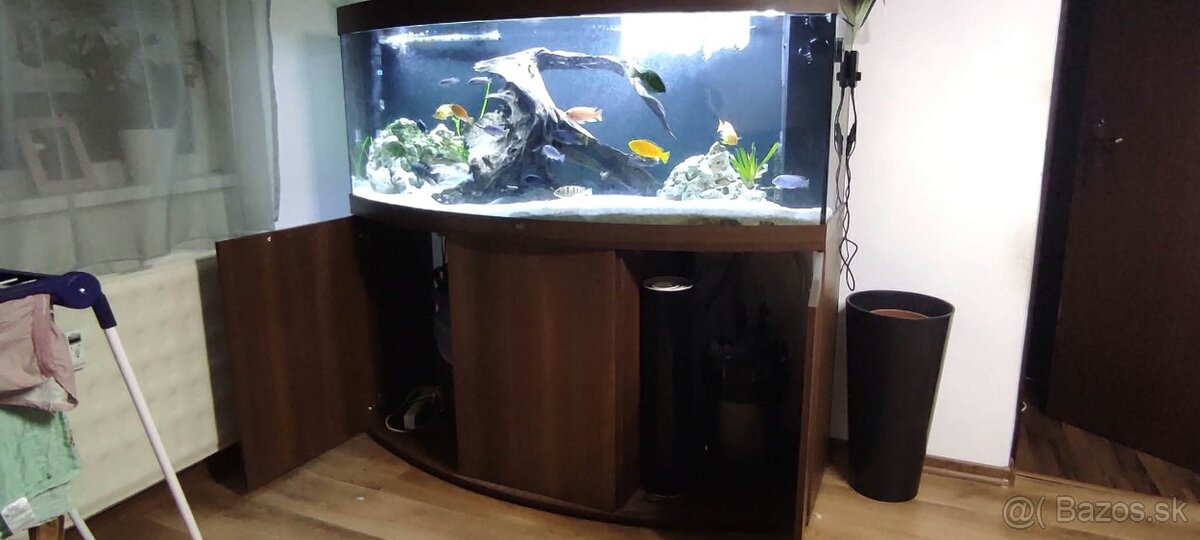 Akvarium - 2