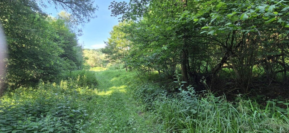 Predaj pozemku 5157 m² – Komárov, okres Bardejov - 2