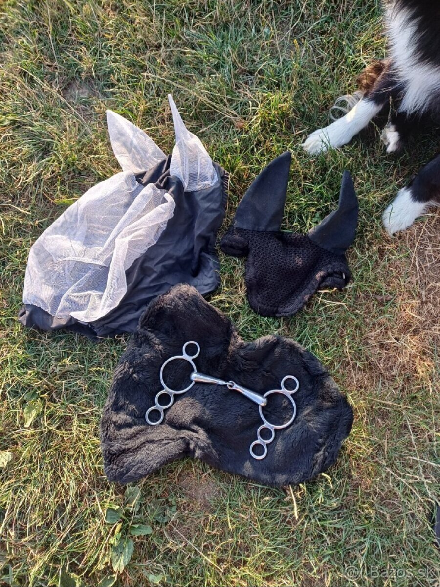 Kentaur, Equiline, F.R.A... - 2