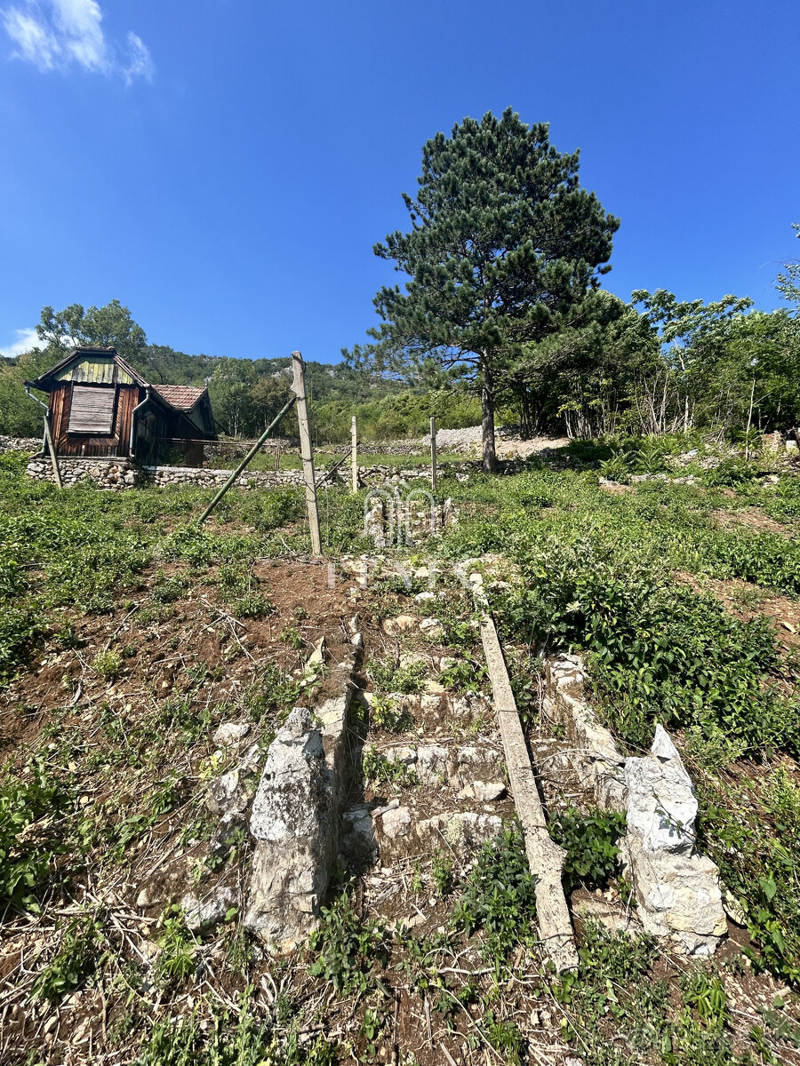 Predaj pozemku – vinica s výhľadom na Hrušovské rybníky - 2