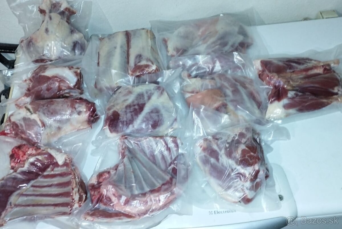 Jahňacina z BIO chovu aj s dovozom - 2