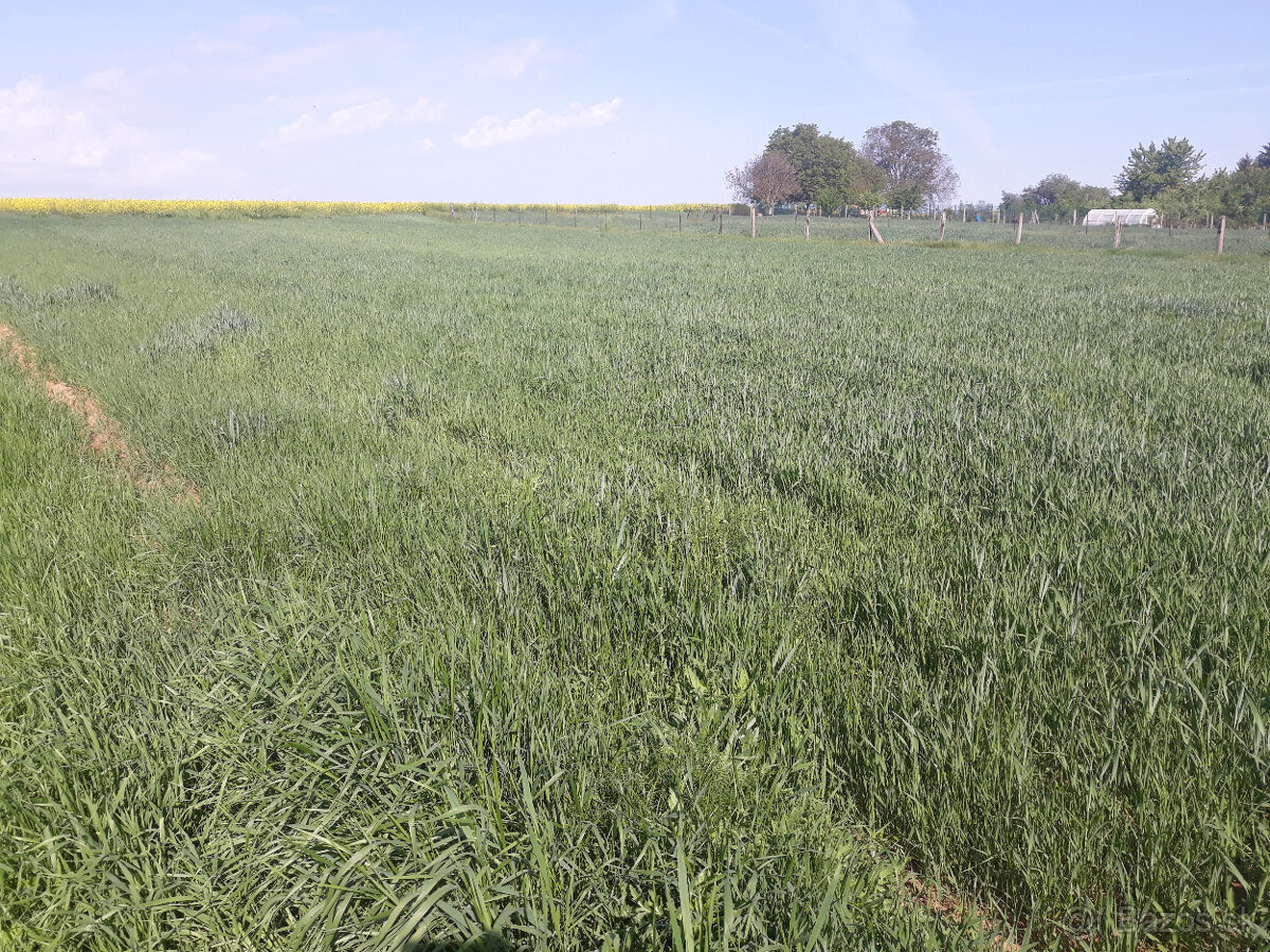 predaj pozemok Zbehy Andač - 2