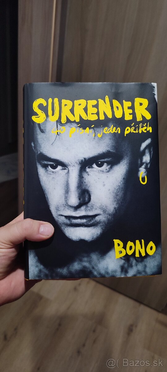 Bono Vox - Surrender - 2