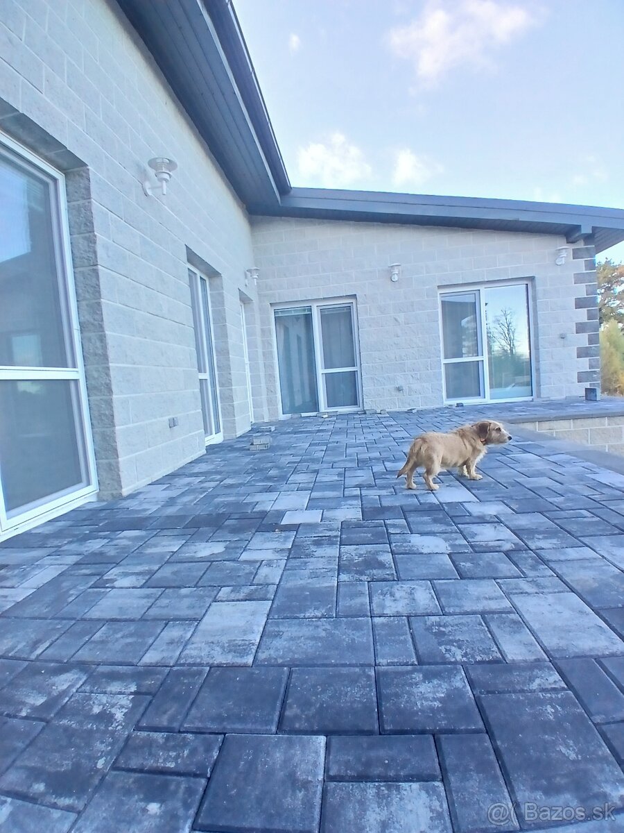 Moderný átriový rodinný dom v Beladiciach – novostavba - 2