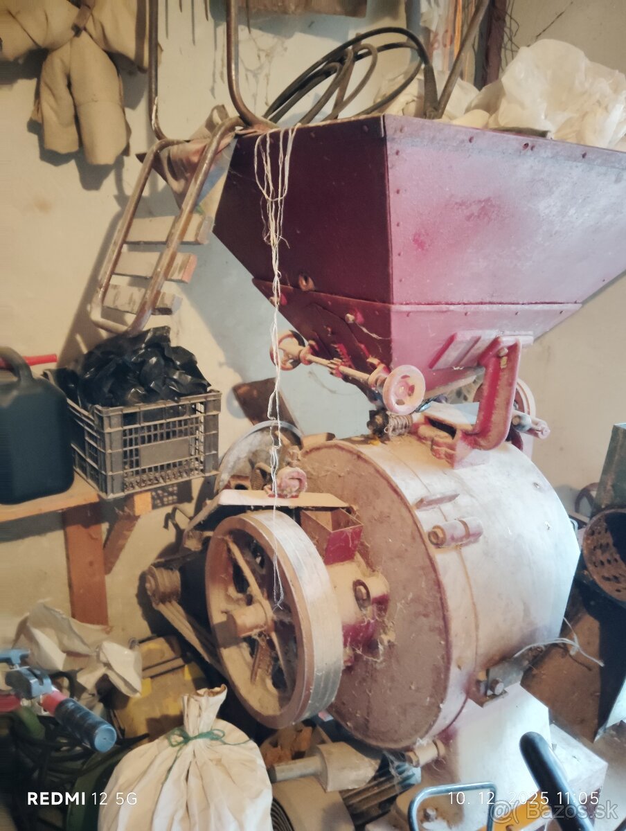 Srotovnik kameňový - 2