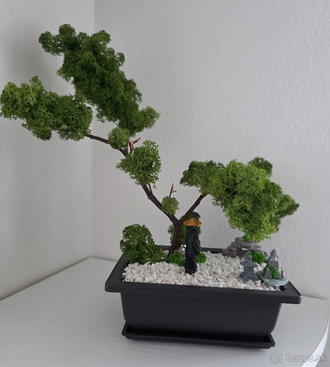 Bonsaj 5D z machu - 2