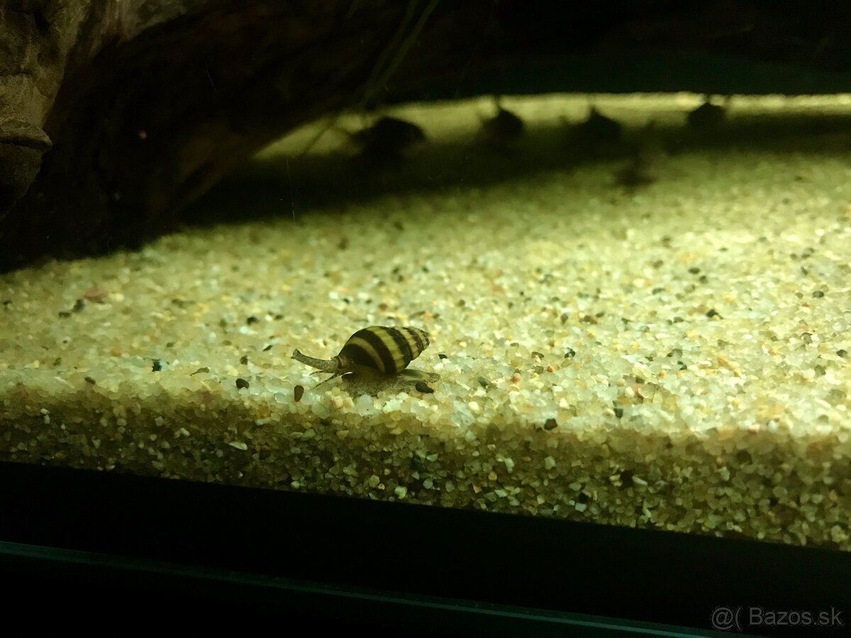 Piesok do akvária - 2