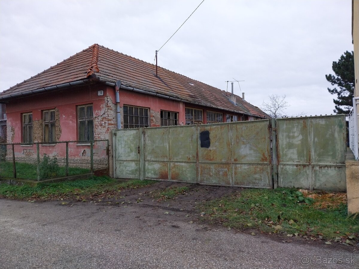 Predaj pozemku so starým domom-Čechynce - 2