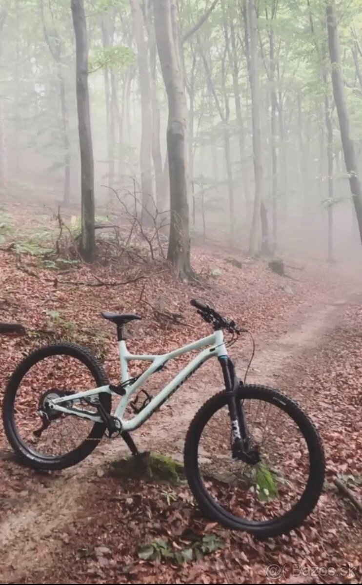 Specialized Stumpjumper Comp Carbon S5 (XL) - 2