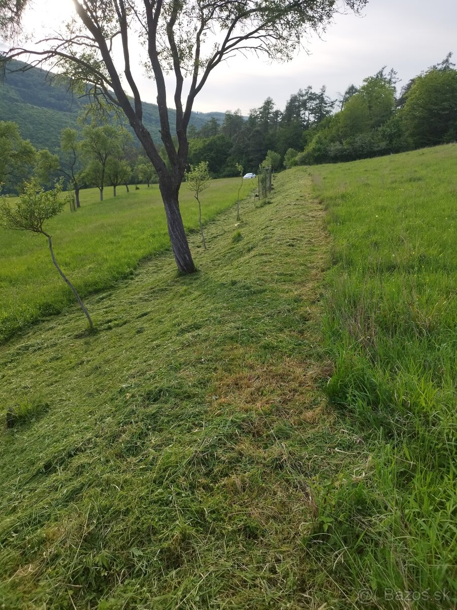 Na predaj rekreačný pozemok - 2