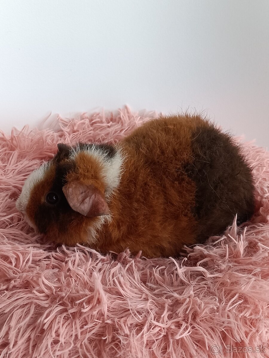 Morčatá Us Teddy - 2