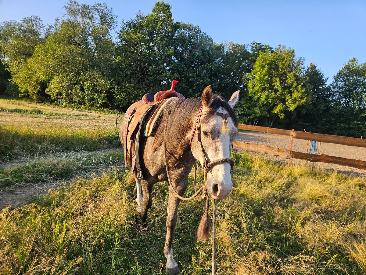 QH - 2