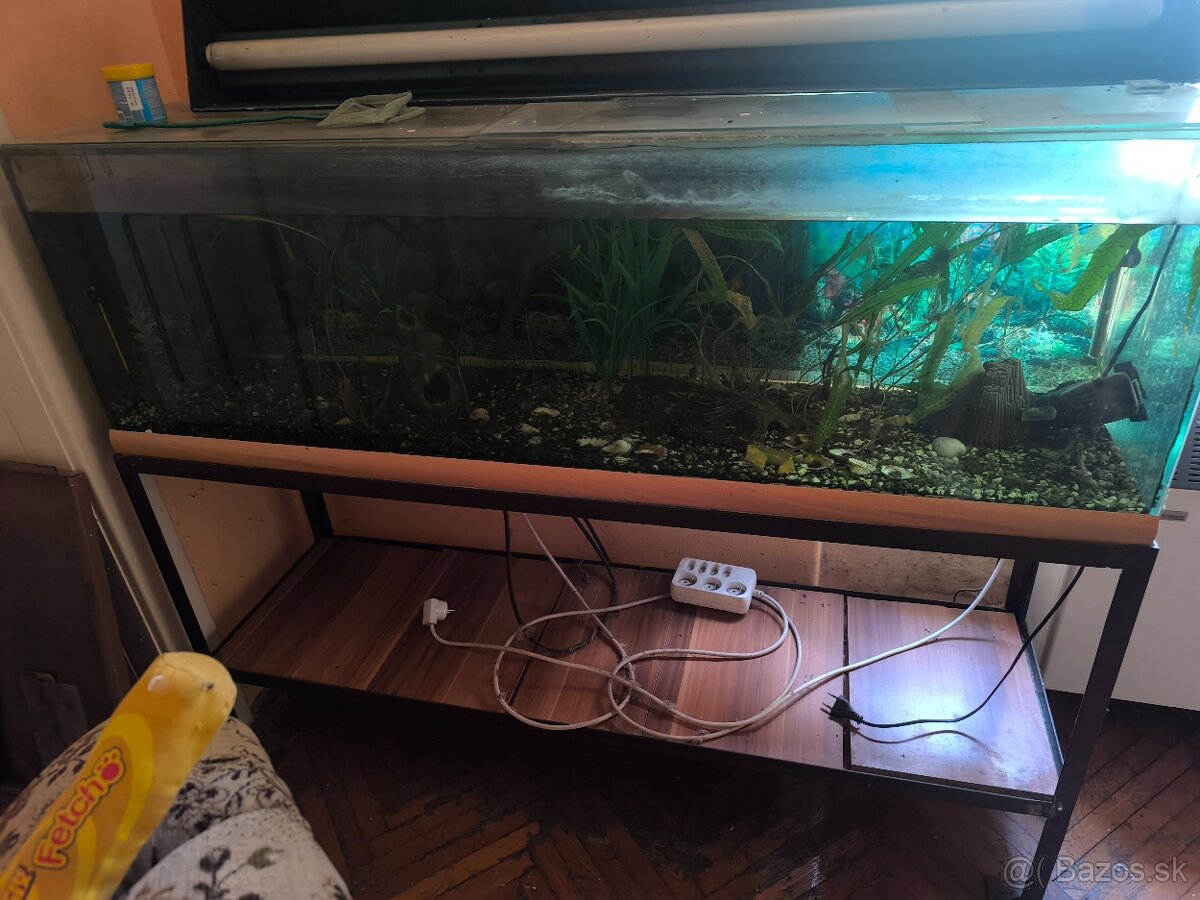 Aquarium - 2
