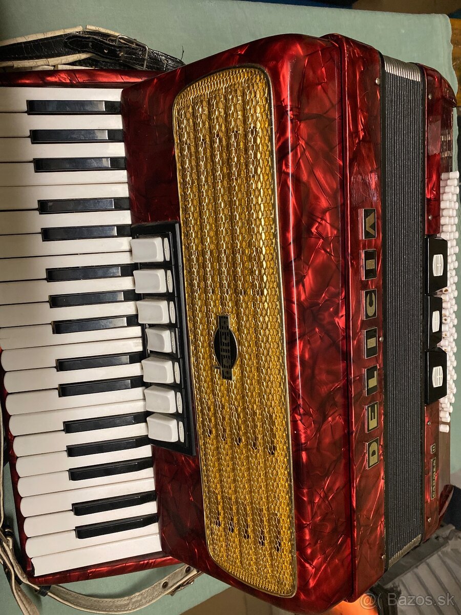 Akordeon harmonika - 2