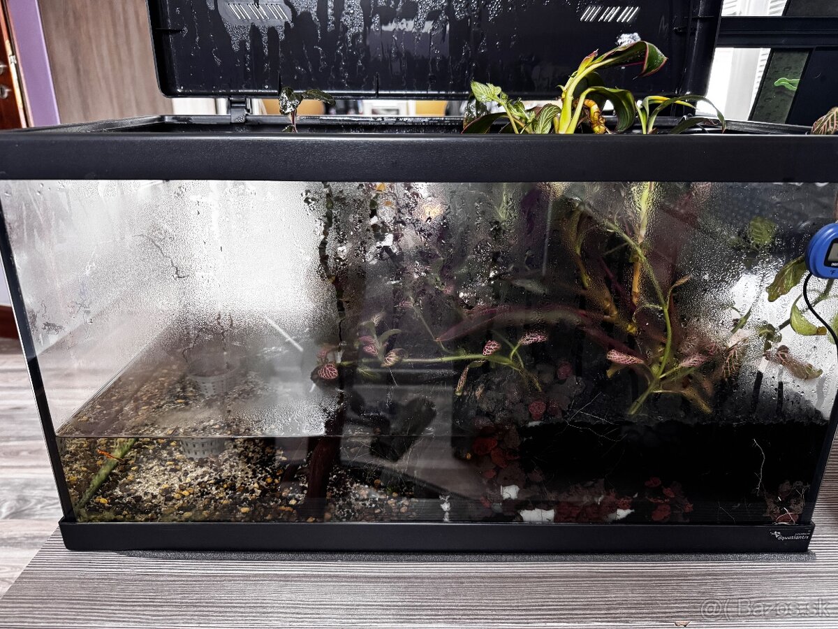 Akvárium 60l + príslušenstvo - 2