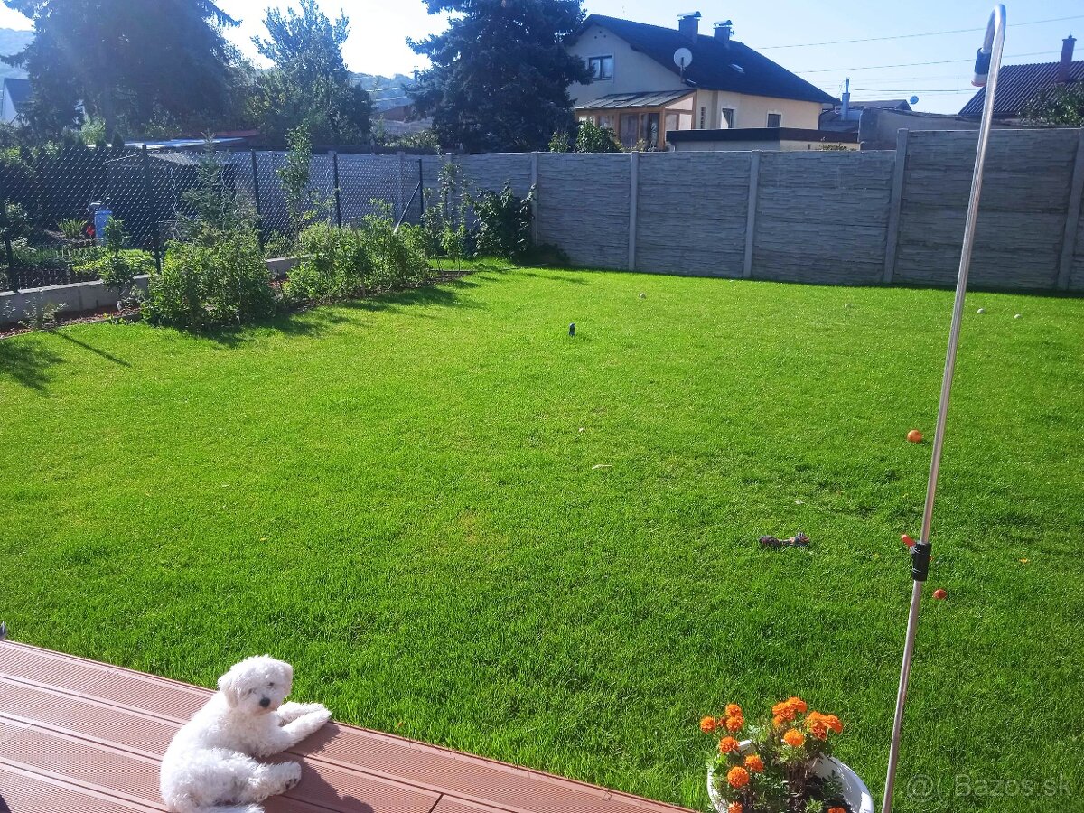 Zariadený dom vo Wolfsthali - 2