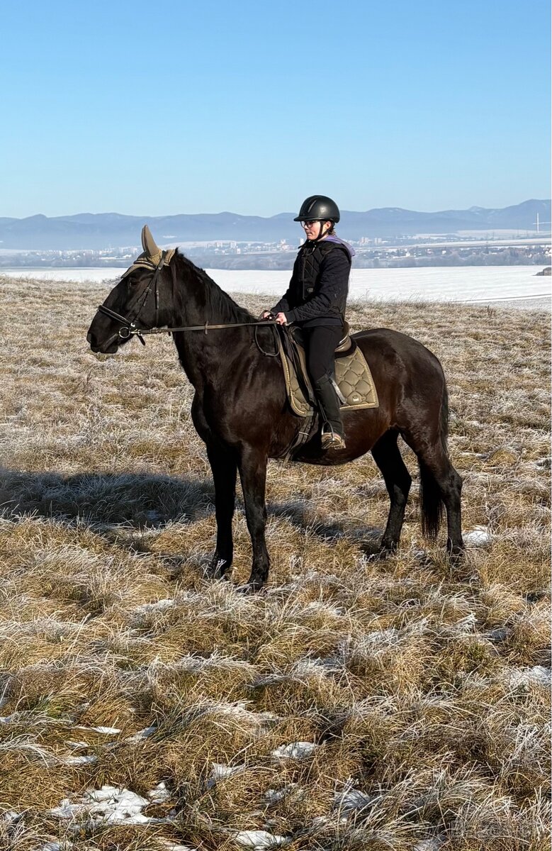 Kobyla s PP aj pre zaciatocnika - 2