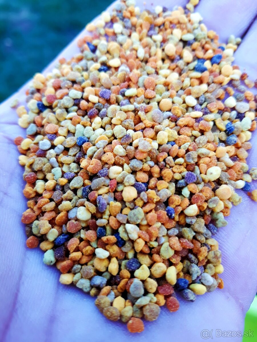 Surový propolis, včelí peľ - 2