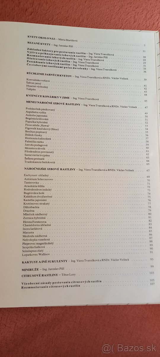 Kvety moja záľuba - 2