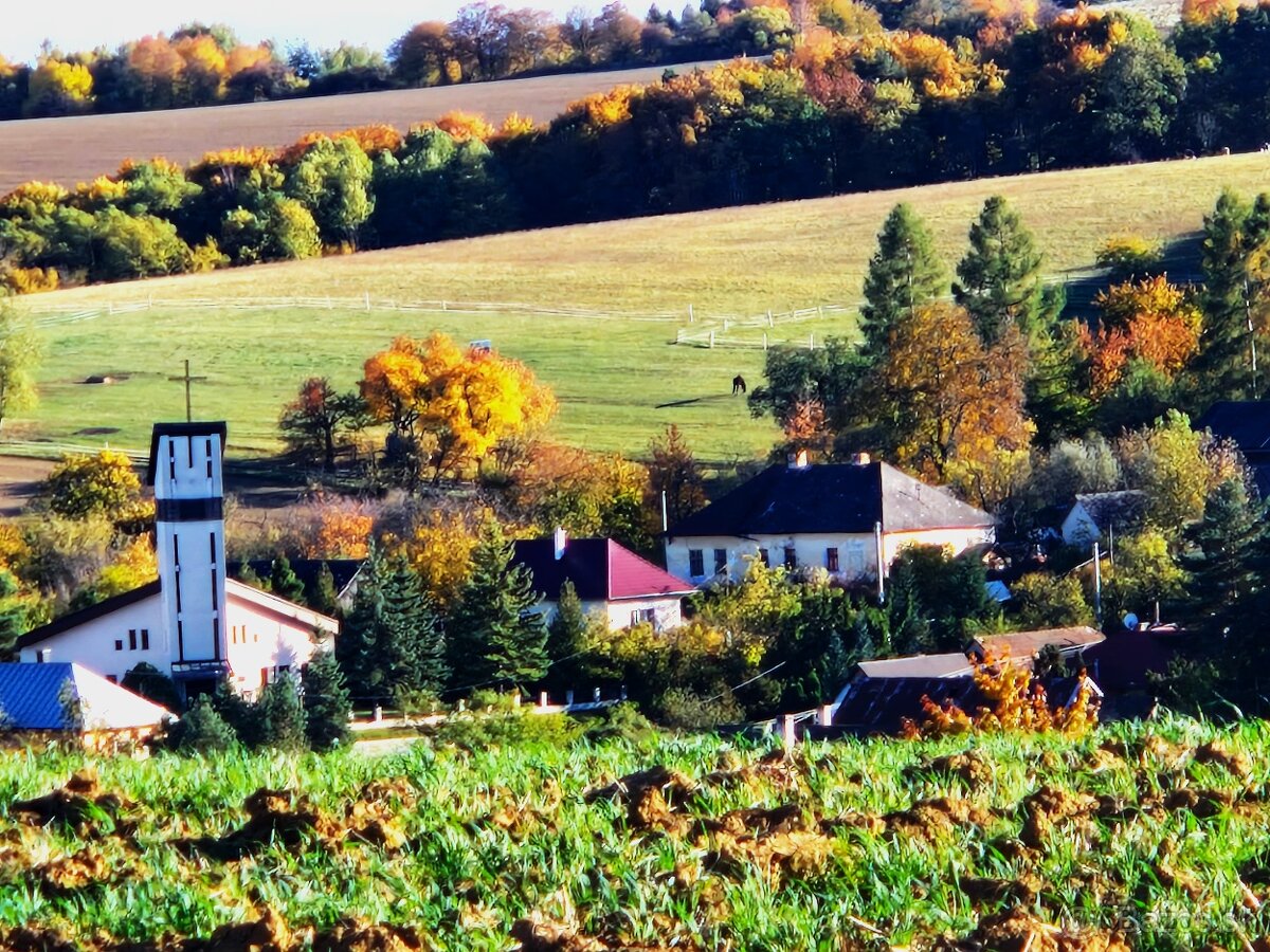 Pozemok - predaj - 2