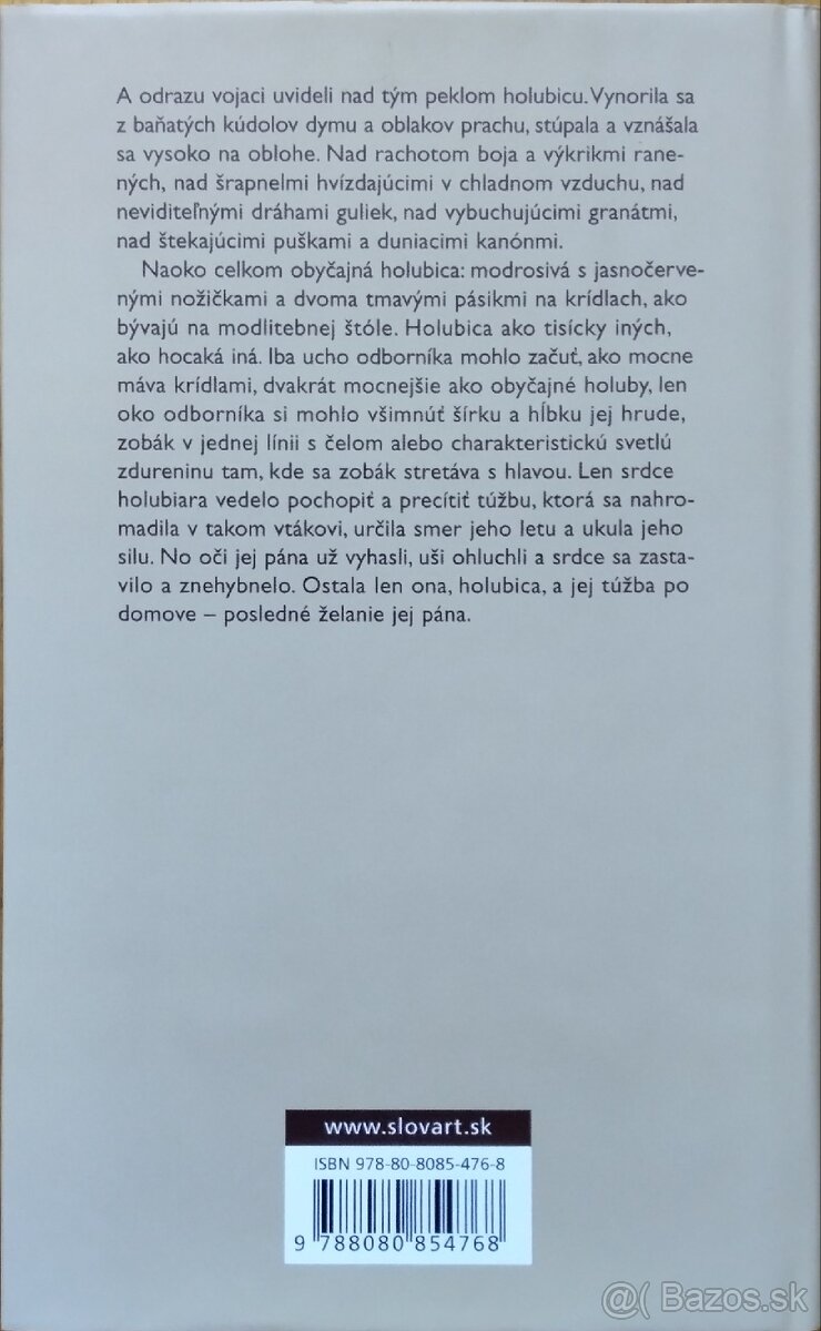 Meir Shalev: Chlapec a holubica - 2