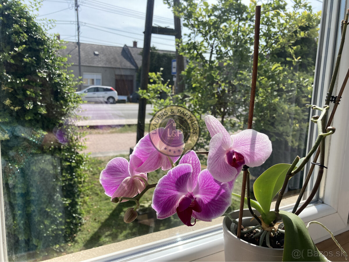 PREDAJ rodinný dom Bezenye - 2